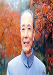 马少波
